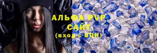 стафф Алзамай